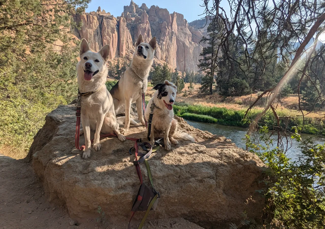 Luna, Rashida and Drey sitting together at Smith Rock in Oregon