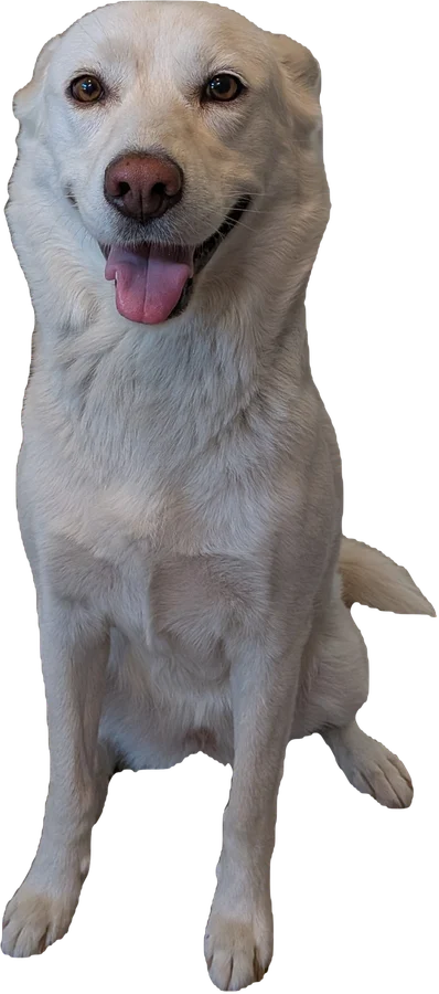 Luna sitting and smiling