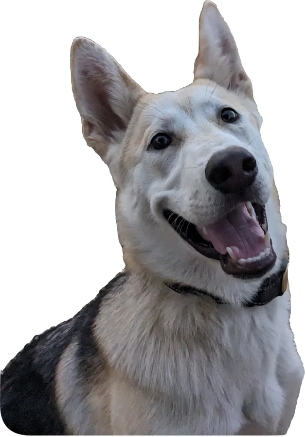 Rashida smiling
